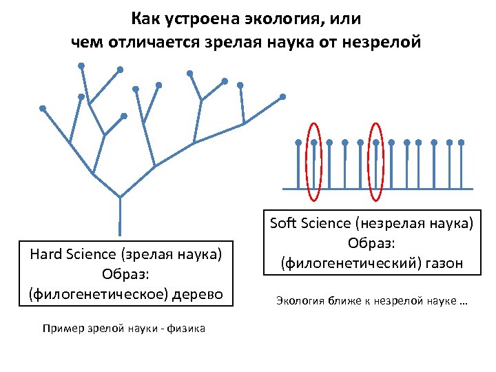 Как устроена экология, или чем отличается зрелая наука от незрелой Hard Science (зрелая наука)