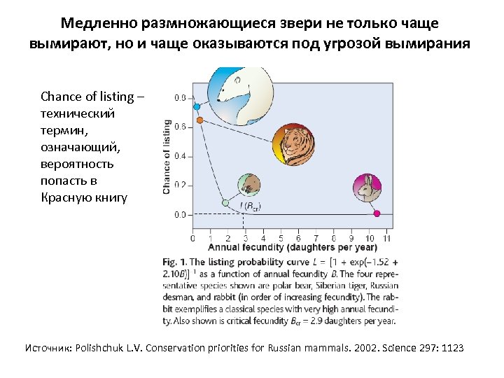 Медленно размножающиеся звери не только чаще вымирают, но и чаще оказываются под угрозой вымирания