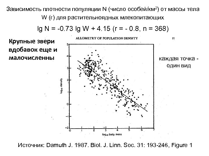 Зависимость плотности популяции N (число особей/км 2) от массы тела W (г) для растительноядных