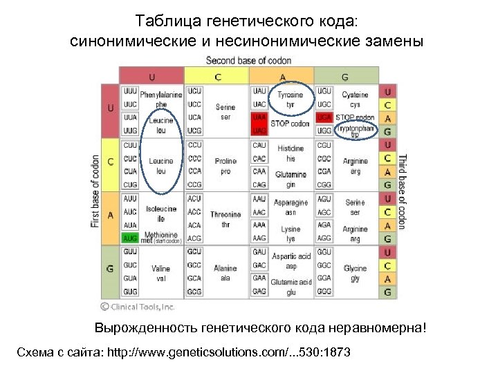 Вырожденность генетического кода. Вырожденность генетического кода таблица. Вырожденный генетический код это. Вырожденность и избыточность генетического кода. Пример вырожденности генетического кода.