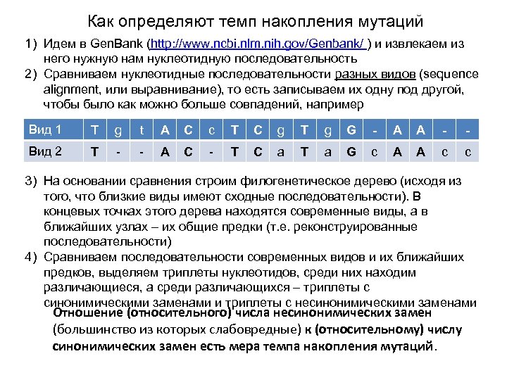 Как определяют темп накопления мутаций 1) Идем в Gen. Bank (http: //www. ncbi. nlm.