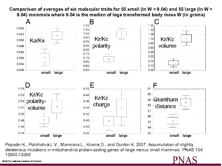 Comparison of averages of six molecular traits for 55 small (ln W < 9.