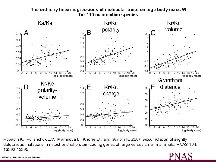 The ordinary linear regressions of molecular traits on loge body mass W for 110