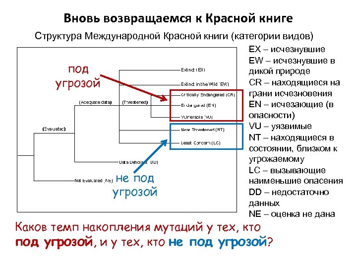Вновь возвращаемся к Красной книге Структура Международной Красной книги (категории видов) под угрозой не