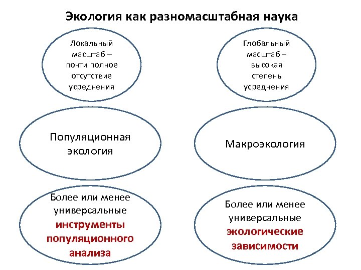 Экология как разномасштабная наука Локальный масштаб – почти полное отсутствие усреднения Глобальный масштаб –