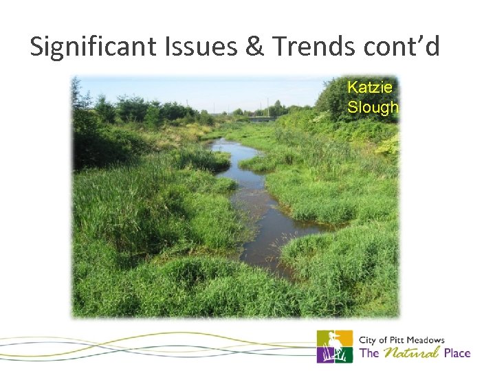 Significant Issues & Trends cont’d Katzie Slough 
