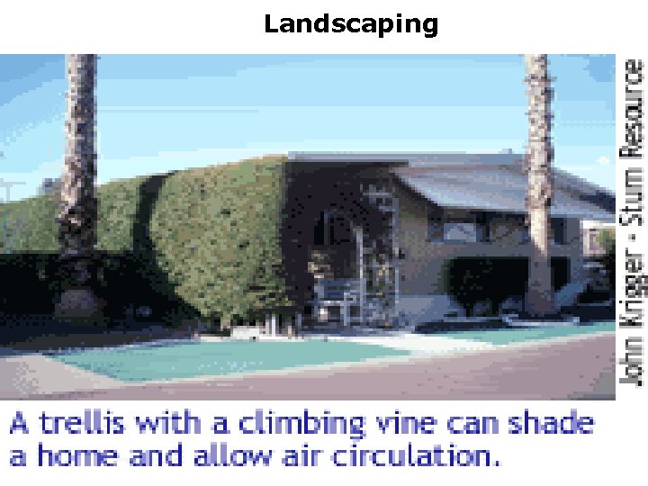Landscaping 