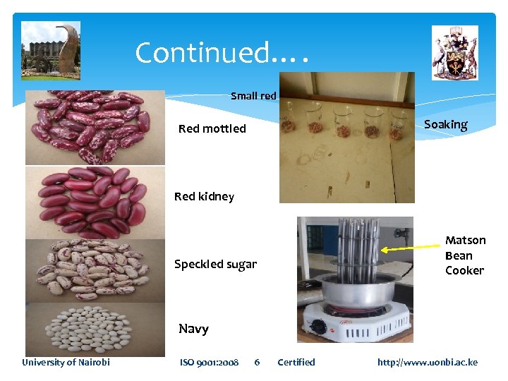 Continued…. Small red Soaking Red mottled Red kidney Matson Bean Cooker Speckled sugar Navy