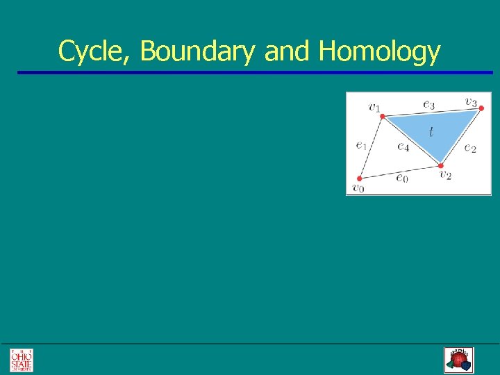 Cycle, Boundary and Homology 