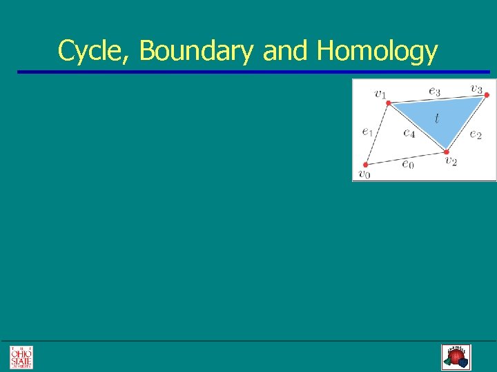 Cycle, Boundary and Homology 