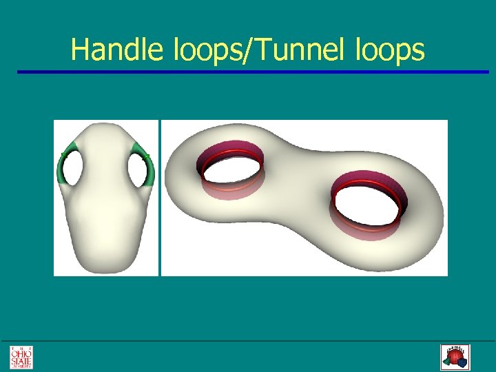Handle loops/Tunnel loops 