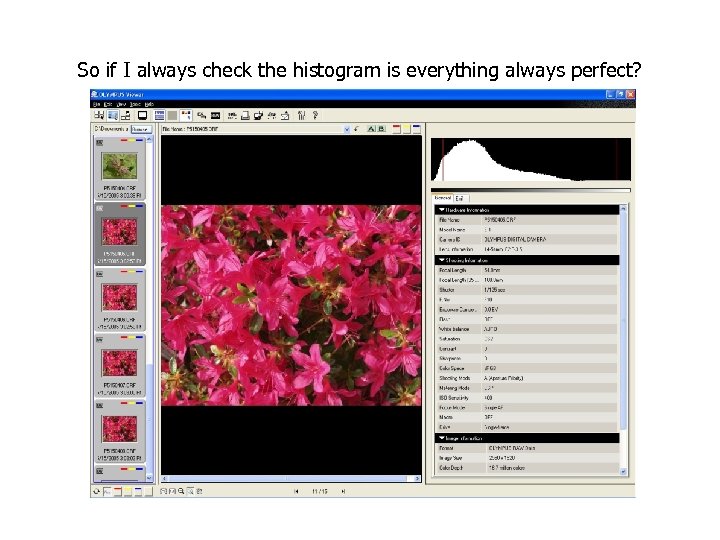 So if I always check the histogram is everything always perfect? 