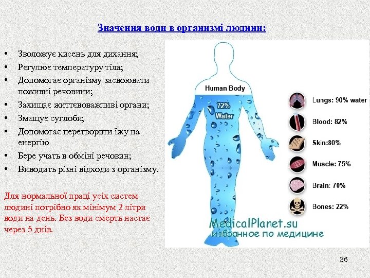 Значення води в организмі людини: • • Зволожує кисень для дихання; Регулює температуру тіла;