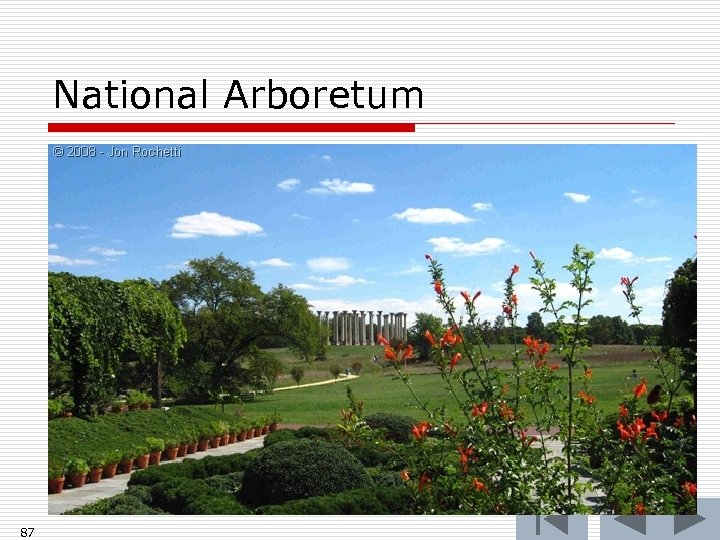 National Arboretum 87 