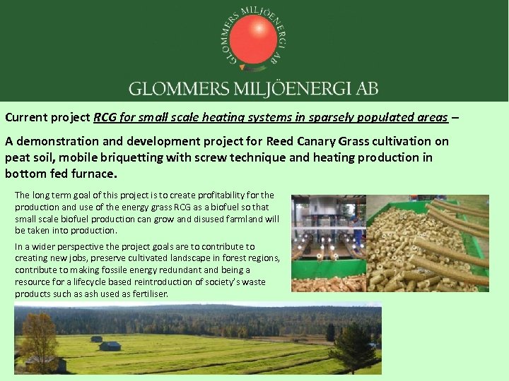 Current project RCG for small scale heating systems in sparsely populated areas – A