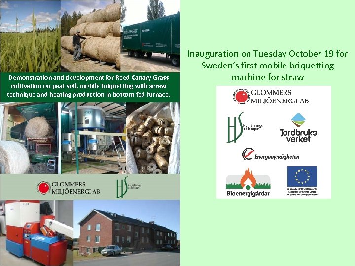 Demonstration and development for Reed Canary Grass cultivation on peat soil, mobile briquetting with