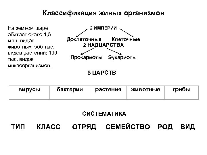 Классификация живых организмов На земном шаре обитает около 1, 5 млн. видов животных; 500