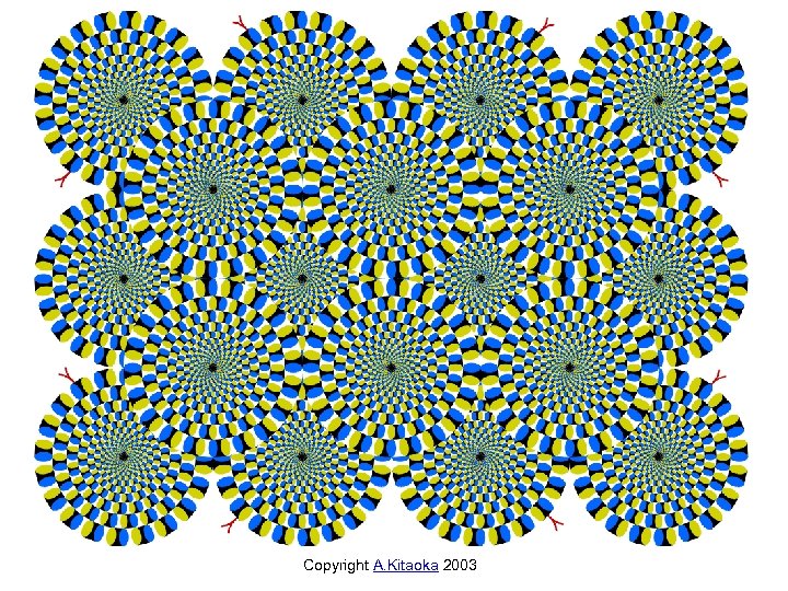 Copyright A. Kitaoka 2003 