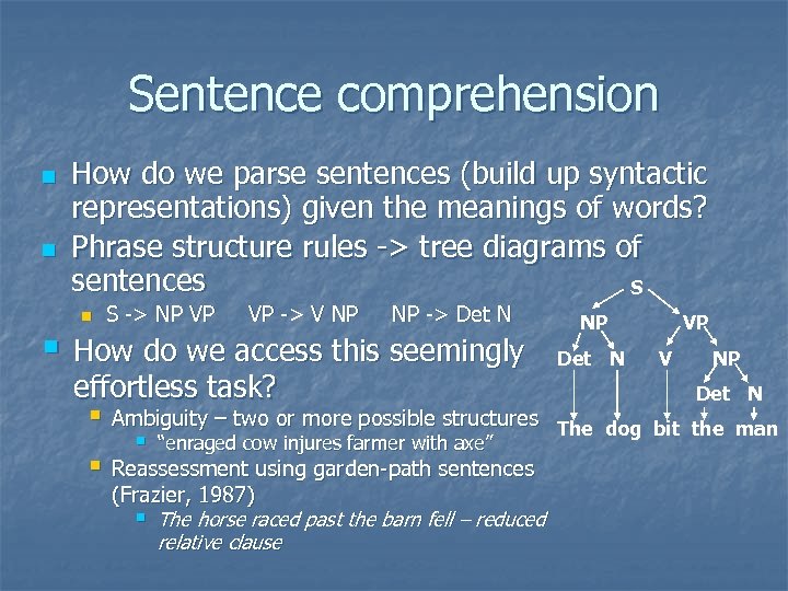 Sentence comprehension n n How do we parse sentences (build up syntactic representations) given