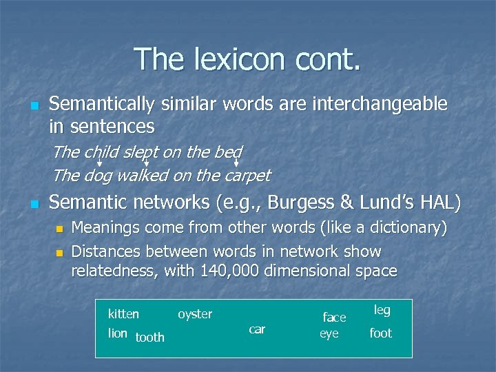 The lexicon cont. n Semantically similar words are interchangeable in sentences The child slept