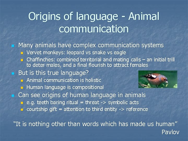 Origins of language - Animal communication n Many animals have complex communication systems n