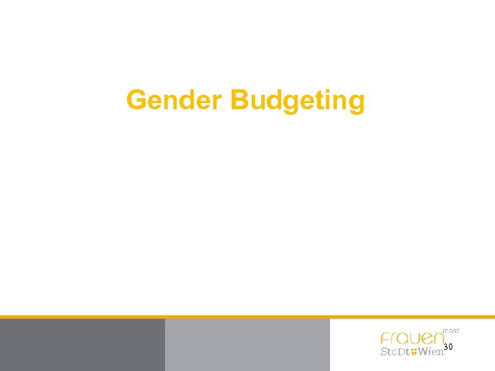 Gender Budgeting 30 