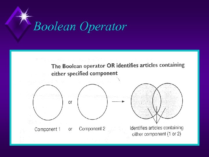 Boolean Operator 