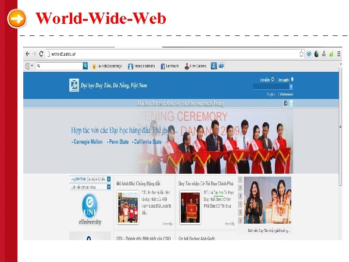 World-Wide-Web 