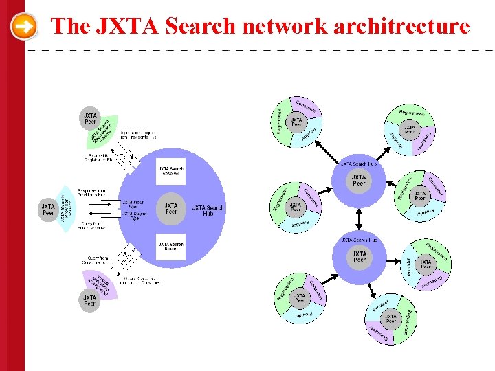 The JXTA Search network architrecture 