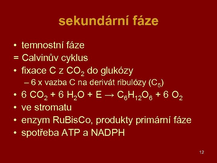 sekundární fáze • temnostní fáze = Calvinův cyklus • fixace C z CO 2
