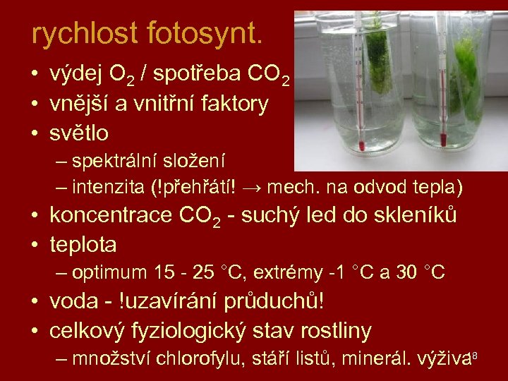 rychlost fotosynt. • výdej O 2 / spotřeba CO 2 • vnější a vnitřní