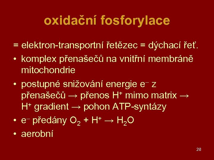 oxidační fosforylace = elektron-transportní řetězec = dýchací řeť. • komplex přenašečů na vnitřní membráně