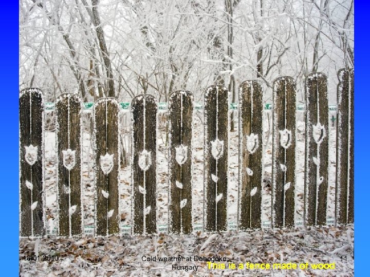 18. 01. 2010. Cold weather at Dobogoko, Hungary This is a fence made of