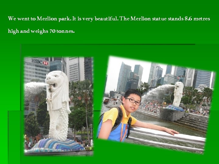 We went to Merlion park. It is very beautiful. The Merlion statue stands 8.