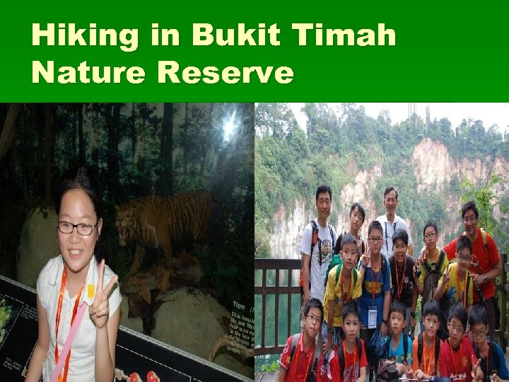 Hiking in Bukit Timah Nature Reserve 