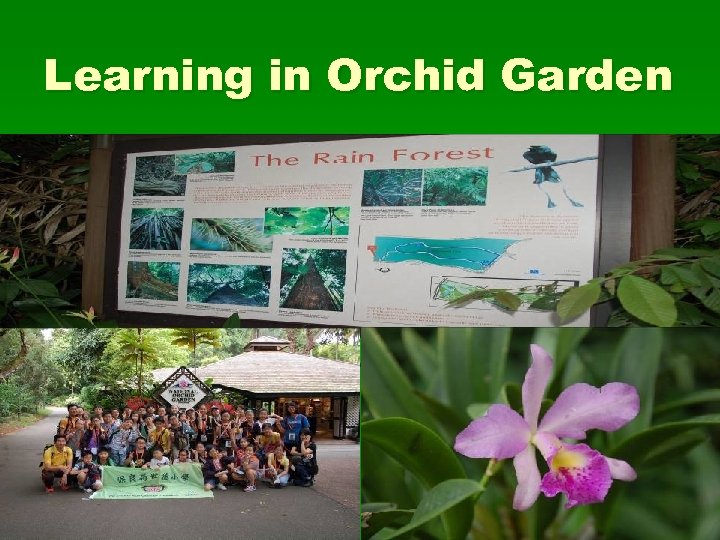 Learning in Orchid Garden 