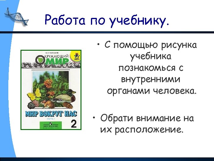 Работа по учебнику. • С помощью рисунка учебника познакомься с внутренними органами человека. •