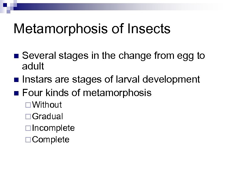 Metamorphosis of Insects Several stages in the change from egg to adult n Instars