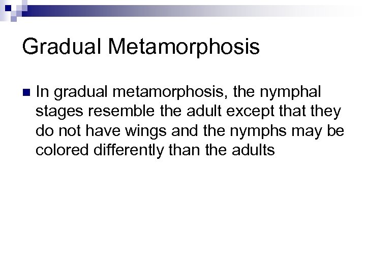 Gradual Metamorphosis n In gradual metamorphosis, the nymphal stages resemble the adult except that