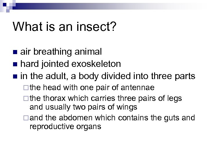 What is an insect? air breathing animal n hard jointed exoskeleton n in the