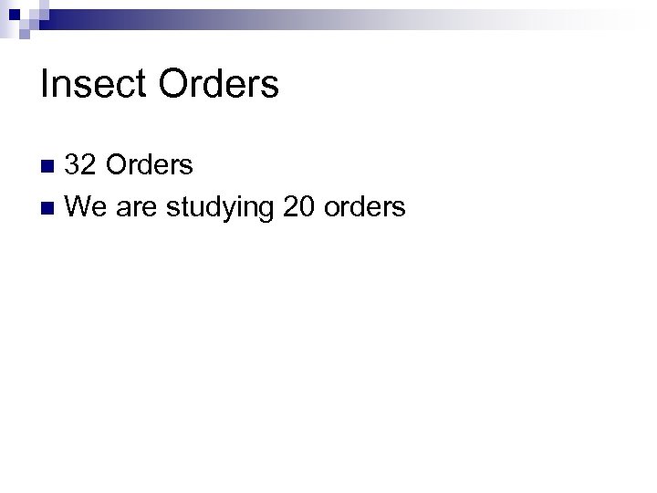 Insect Orders 32 Orders n We are studying 20 orders n 