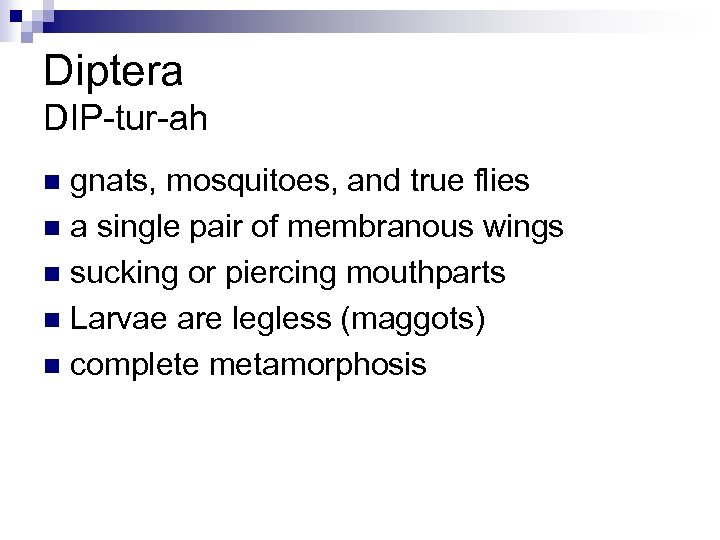 Diptera DIP-tur-ah gnats, mosquitoes, and true flies n a single pair of membranous wings