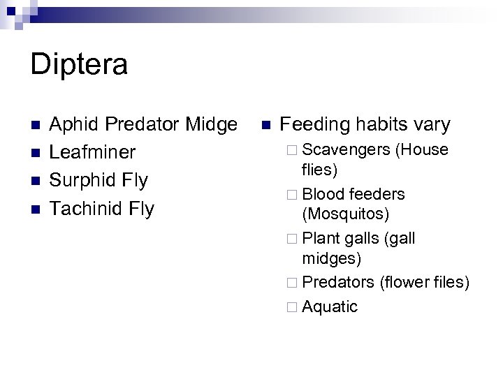 Diptera n n Aphid Predator Midge Leafminer Surphid Fly Tachinid Fly n Feeding habits