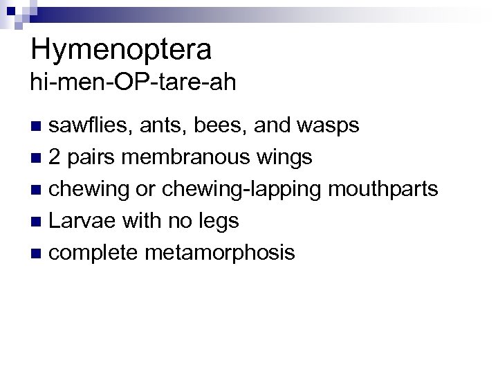 Hymenoptera hi-men-OP-tare-ah sawflies, ants, bees, and wasps n 2 pairs membranous wings n chewing