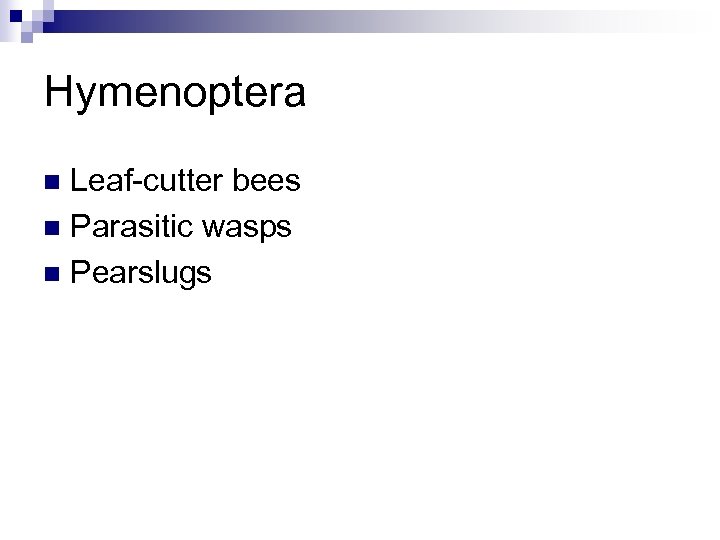 Hymenoptera Leaf-cutter bees n Parasitic wasps n Pearslugs n 