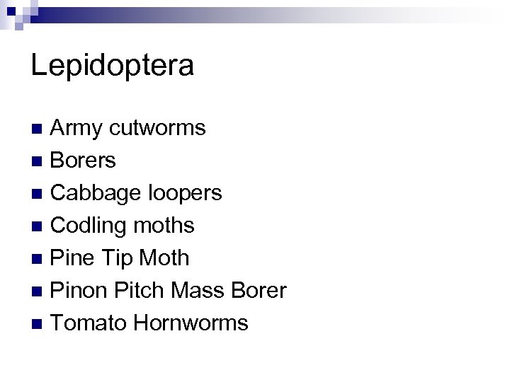 Lepidoptera Army cutworms n Borers n Cabbage loopers n Codling moths n Pine Tip