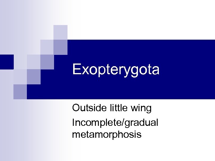 Exopterygota Outside little wing Incomplete/gradual metamorphosis 
