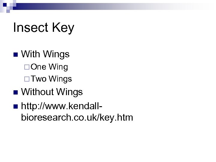 Insect Key n With Wings ¨ One Wing ¨ Two Wings Without Wings n