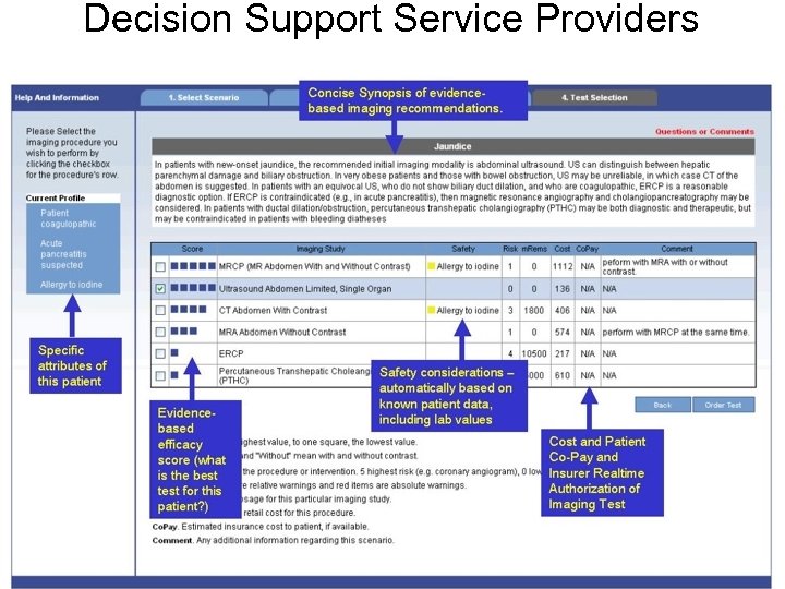 Decision Support Service Providers 
