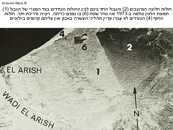  © Avinoam Danin חולות חלוצה המיוצבים )2( והגבול החד בינם לבין החולות הנודדים